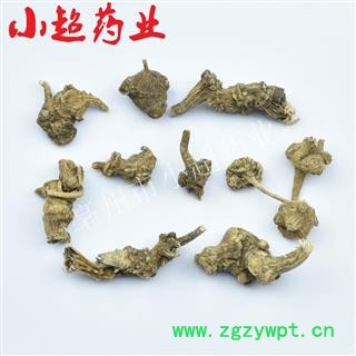 珠子参 01 珠子参 统 产地 贵州省图2