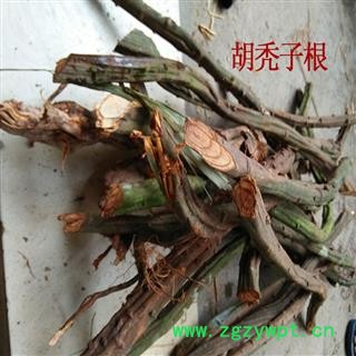 煜庭药业 胡秃子根 胡颓子根 贯榨根 牛奶根 药用图4