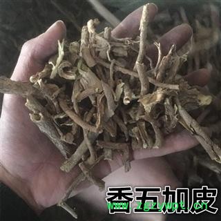 香五加皮 香五加根皮 好统装 发货前过筛子 产地直销 供应各种中药材 冷背货 矿石等 产地 山西省图2