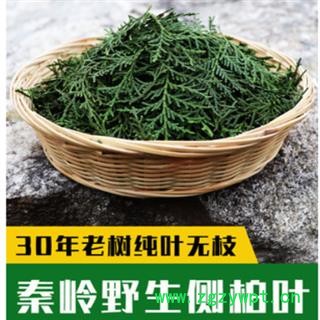 新鲜侧柏叶纯叶无树枝秦岭野生侧柏叶扁柏叶防脱生发密发增发500g图1