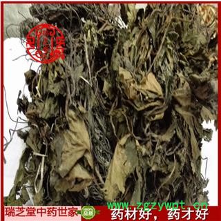 肺心草统货 四川肺心草 药典正品 中药材 瑞芝堂产地直供1000克 规格齐全 一站购齐图1