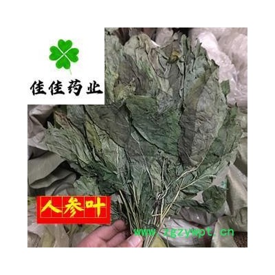 人参叶 人参叶 颜色好 正品 供应各种中药材 产地 吉林省