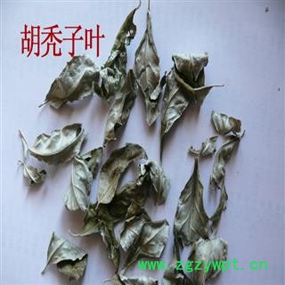 煜庭药业 胡秃子叶 厚的 胡颓子叶 胡颓子 别称 蒲颓叶 胡秃子 鸡卵子 幽谷巨人 半春子 甜棒槌 雀儿酥 羊奶子 羊奶奶 牛奶咪图1