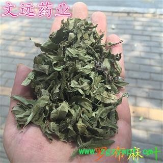 罗布麻叶 青色 统货 产地 新疆维吾尔自治区图2