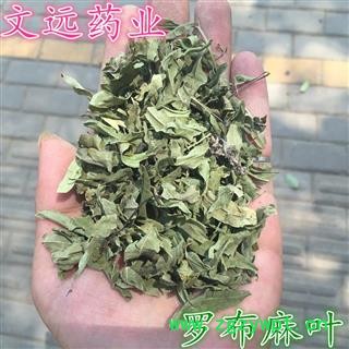 罗布麻叶 青色 统货 产地 新疆维吾尔自治区图1