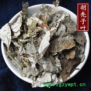 胡秃叶 胡秃子叶 胡颓子叶蒲颓叶胡颓叶图1