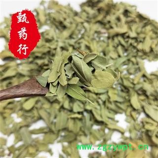 罗布麻叶 大罗布麻叶统货 一手货源批发 产地新疆 甄选药材行图4