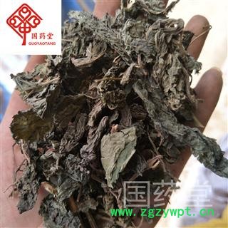 紫苏叶 苏叶 统 国药堂 专注品质 产地 山东省图1