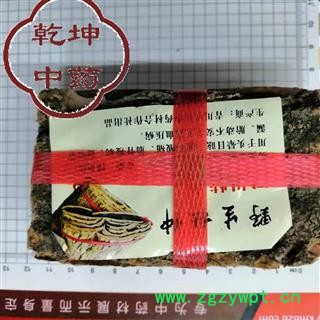 杜仲 杜仲块   选块  高品质 产地 四川省【品种齐全 诚信经营】图1