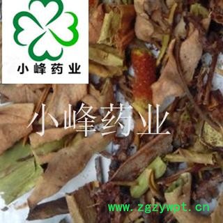 石韦 小叶 石伟 新货 纯干  产地 云南省图2