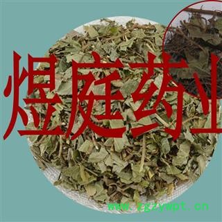 煜庭药业 矮地茶 不出林 平地木图2