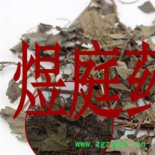 煜庭药业 矮地茶 不出林 平地木图4