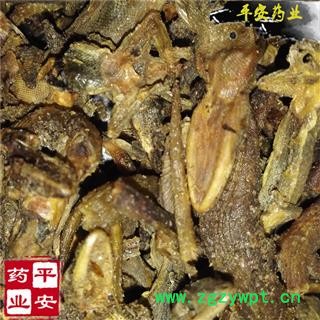 平安药业 进口壁虎 守宫 爬壁虎 爬墙虎 四脚蛇 巴壁虎 蝎虎 天龙 檐蛇 檐龙图2