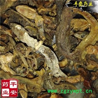 平安药业 进口壁虎 守宫 爬壁虎 爬墙虎 四脚蛇 巴壁虎 蝎虎 天龙 檐蛇 檐龙图1