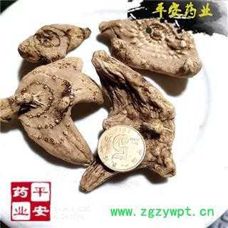 平安药业 白芨 贵州野无硫大选 贵州旱 白及 白笈 白鸡 连及草 甘根 白给 箬兰 朱兰 紫兰 苞舌兰 紫蕙 百笠图2