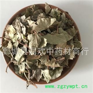 【矮地茶 平地木】@【同欢药材】中药材批发供应  规格齐全 量大从优 产地 湖南省图3