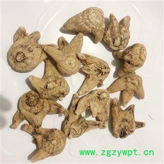 娟子中药  正品 白芨  白及   白鸡  选货 产地 贵州省 买好药找娟子图4