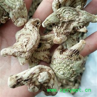 白及 纯正品三叉白芨 精选白芨特大选个 无硫白芨个 产地 贵州省遵义市绥阳县图1