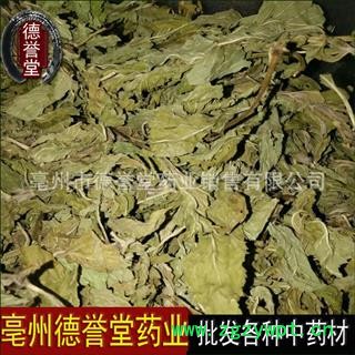 薄荷叶 选 薄荷叶 产地 安徽省 本店批发各种中药材图2