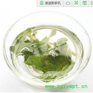 干薄荷 1000克 薄荷叶 薄荷茶图3