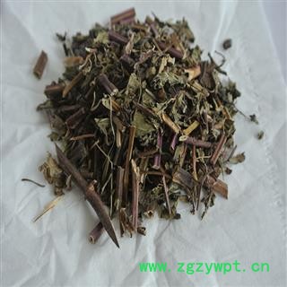 薄荷 红杆薄荷 统片 产地 四川省图3