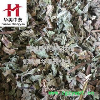 薄荷 统 产地 山东省 华美中药 产地直销 重在品质图1