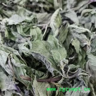 薄荷叶 薄荷茶 新货 选 产地 安徽省 小影全品类中药材店铺图2