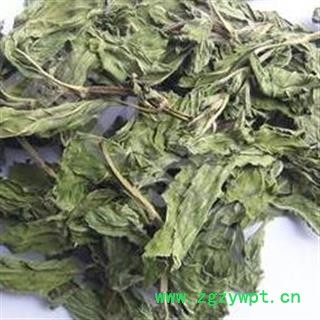 吉康药业新货 薄荷叶 无梗色绿 茶用图1