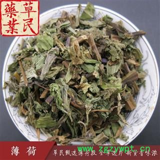 草民甄选薄荷段 全草选片 新货香味浓 颜色好 无杂质 专业批发量大从优图4