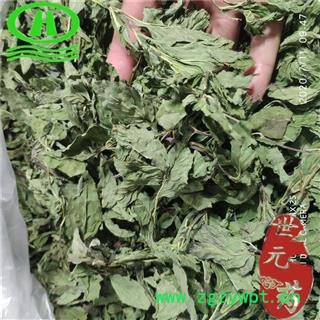 世元药业 薄荷 正品茶用级 别称 银丹草 夜息香图2