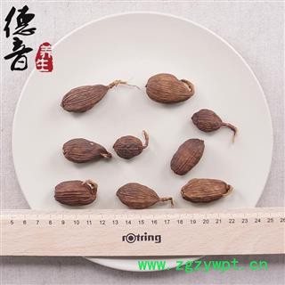 【满包邮】草果 统 1000g 产地 广西 买好货 选德音 正品溯源 规范标准 三证齐全 全品类药材一站购齐图2