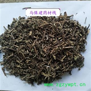 薄荷 薄荷选段 产地 山东省图1