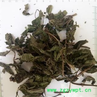 新辉药业薄荷 薄荷叶  正品新货图1