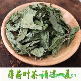 薄荷叶绿薄荷茶新鲜干薄荷叶干净无枝食用薄荷叶提神泡野生薄荷茶1000克图2