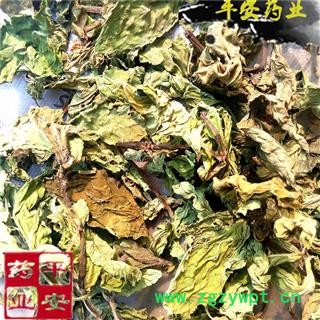 平安药业 薄荷 正品花草茶 新货茶用 银丹草 鱼香草 夜息香图1