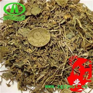 世元药业 连钱草【全品除尘】别称 活血丹 金钱草 落地金钱 透骨消 连线草图1