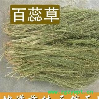 百蕊草 正品保证质量7天无理由退货退款 中药材批发 丽丽药业图4