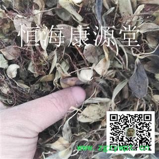 恒海康源堂 鱼鳖草 瓜子菜 金星草  抱树莲 飞连草 金龟藤图1