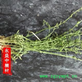 百蕊草 百蕊草统货 产地 河南省南阳市