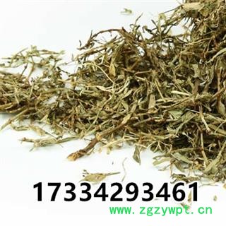 萹蓄 扁竹 扁茿 畜辩 扁蔓 扁蓄 地扁蓄 编竹 扁畜 粉节草 道生草 扁竹 扁竹蓼 乌蓼 大蓄片 路柳 疳积药 斑鸠台 蚂蚁草 猪圈草 桌面草 路边草 七星草 铁片草 竹节图3