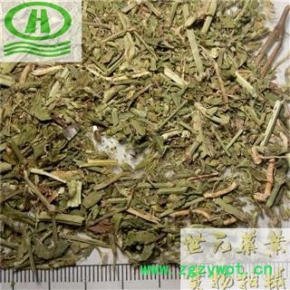 世元药业 萹蓄 正品 扁竹 扁茿 畜辩 扁蔓 扁蓄 地扁蓄 编竹 扁畜 粉节草 道生草 扁竹 扁竹蓼 乌蓼 大蓄片 野铁扫把 路柳 疳积药 斑鸠台 蚂蚁草 猪圈草 桌面草 路边草 七星草 铁片草 竹节图1