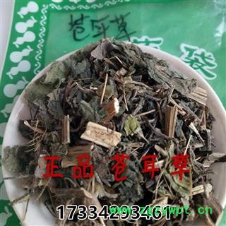 中药材苍耳草 苍耳草 苔耳 老苍子 卷毛子 切才尔图1