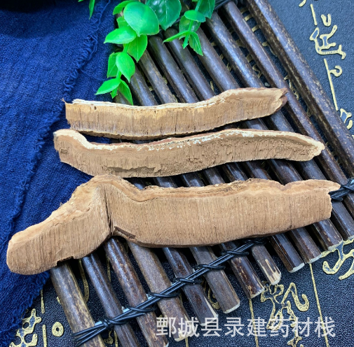 灵芝 东北灵芝片 一件起批 录建药业供应无硫常用中药材花草茶图3