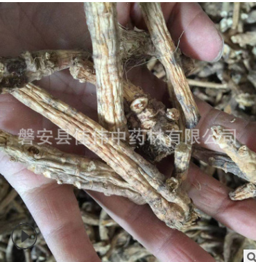 中药材批发珍珠 大货供应 淡水珍珠散装 珍珠粉量大从优 现货图2