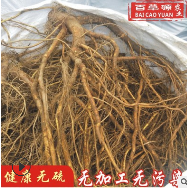 新鲜五指毛桃根鲜货500g(纯根不带树头)种植生鲜五爪龙煲汤泡酒料