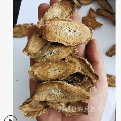 黄金牛蒡茶大选片颜色好金黄色产地大货销售牛蒡图2