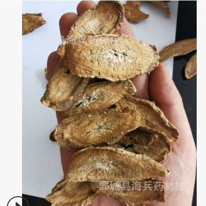 黄金牛蒡茶大选片颜色好金黄色产地大货销售牛蒡图1