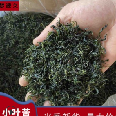 2021新货小叶苦丁茶 嫩芽毛冬青 散装青山绿水花草茶量大从优