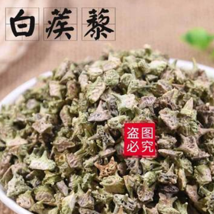 白蒺藜中药材批发 名茨旁通屈人止行休羽升推