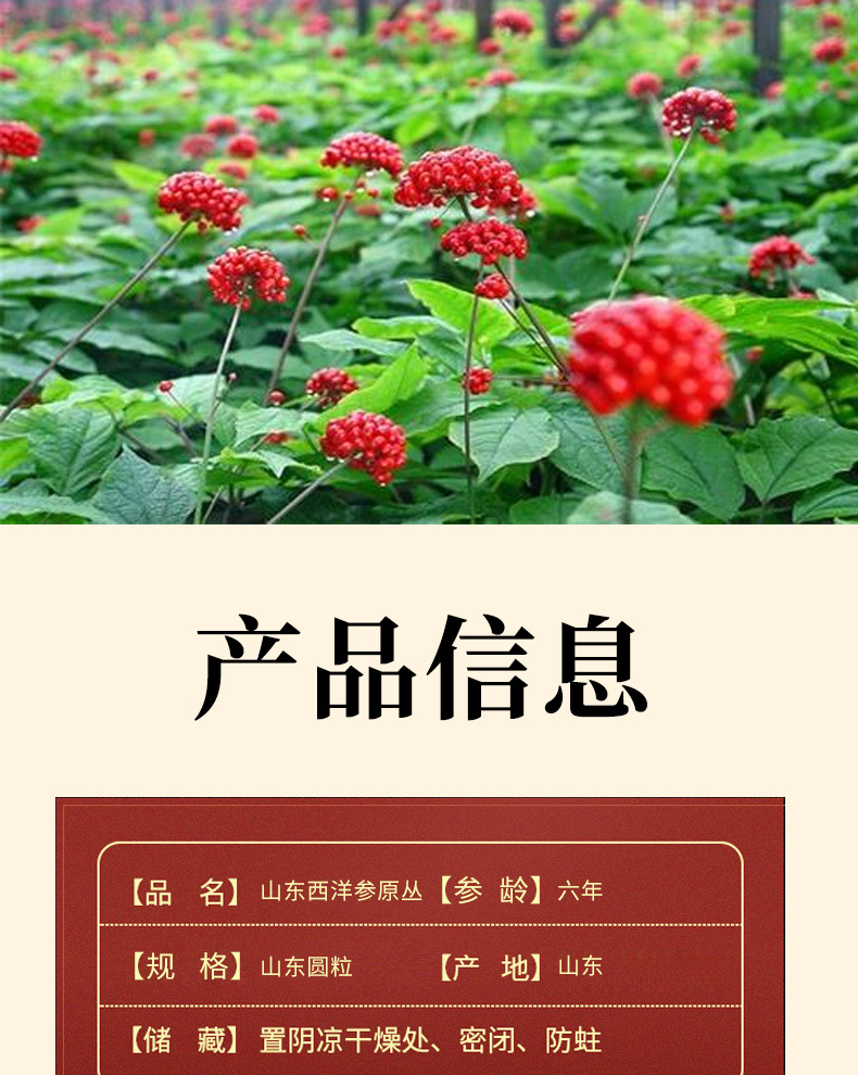 长白山西洋参_03